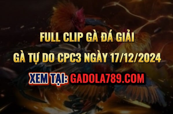 Gà Đá Giải CPC3 Ngày 17/12/2024