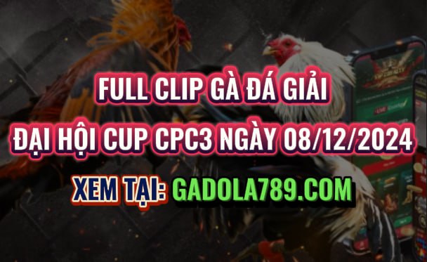 Gà Đá Giải CPC3 Ngày 08/12/2024