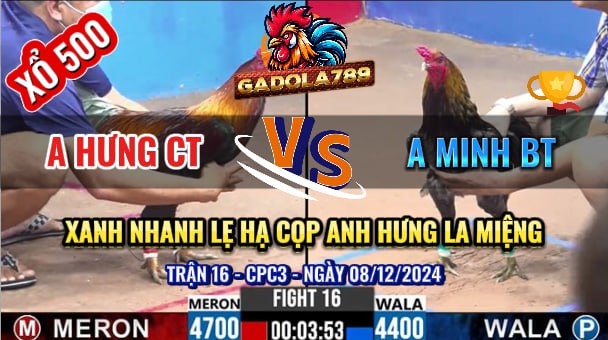 Trận 16 CPC3 Ngày 08/12/2024