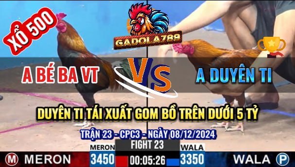 Trận 23 CPC3 Ngày 08/12/2024